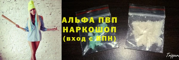 мет Касимов