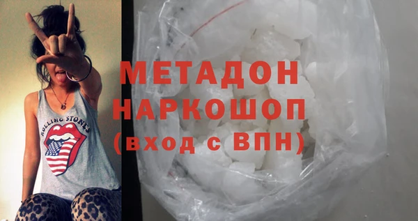 прущие грибы Заводоуковск