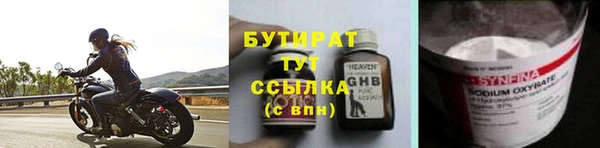 прущие грибы Заводоуковск