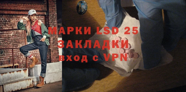 дживик Елабуга