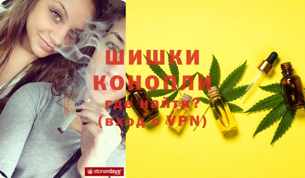 дживик Елабуга