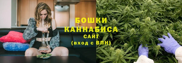 прущие грибы Заводоуковск