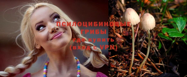 дживик Елабуга