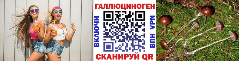 Псилоцибиновые грибы Magic Shrooms  Купить закладки  Бородино 