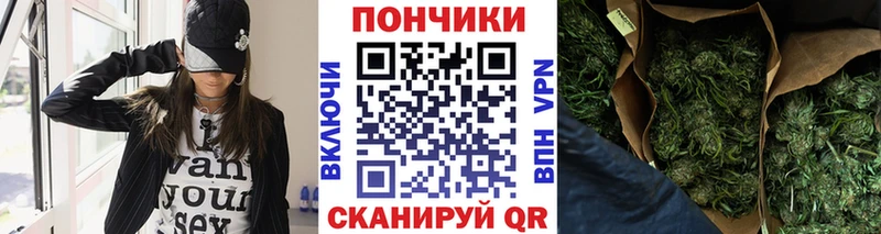 Купить  Бородино  Бошки Шишки MAZAR 